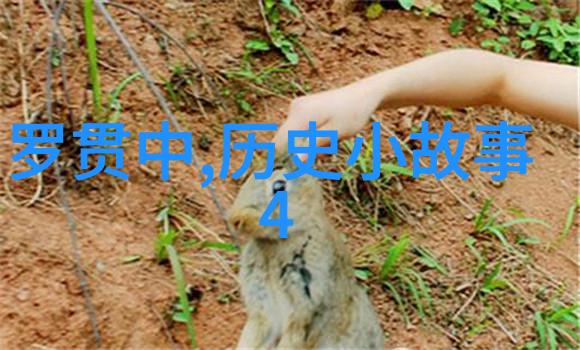 随身空间之重生末世 - 蕴思未死穿梭时空的最后希望