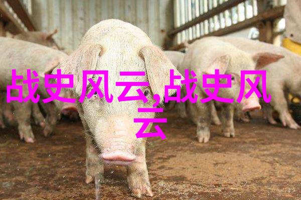 趣闻天下app下载-探秘趣闻天下App如何轻松获取最新热点资讯