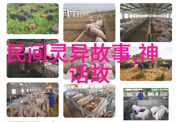 历史上的奇才聂政与三国演义中的无为而治