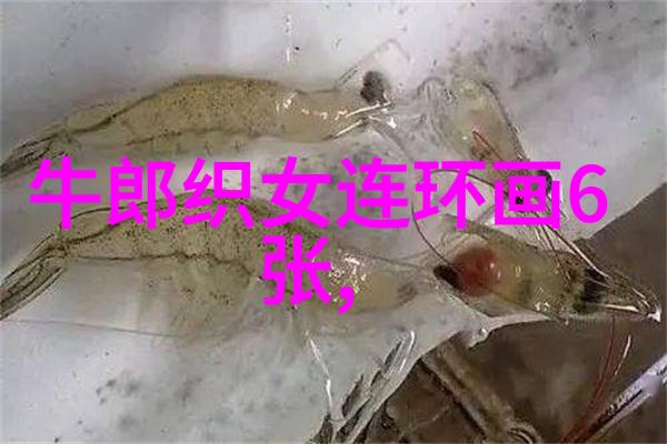 夏朝开国之祖大禹简介治水英杰
