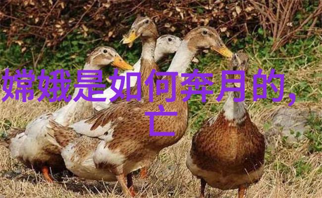 揭秘历史之谜野史趣闻PPT展开
