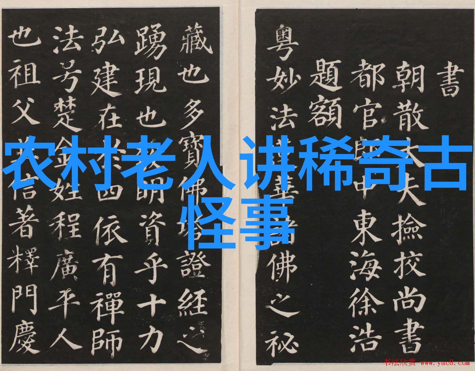 袁宏探索新国学网的魅力