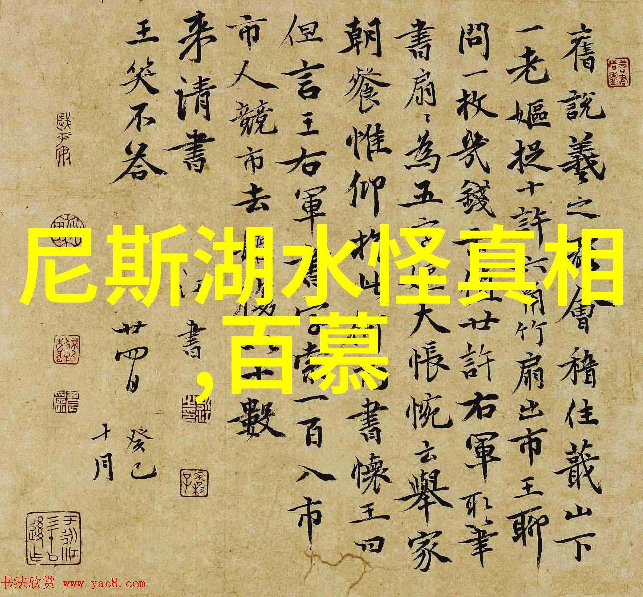 21世纪的智光谭云龙与他的人生思想之旅