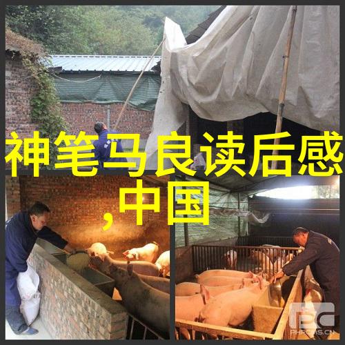 董卓凡豫剧票友王善朴唱段全部物品