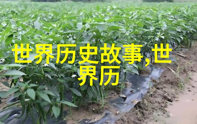 宋朝的名人李宁令哥(1048)