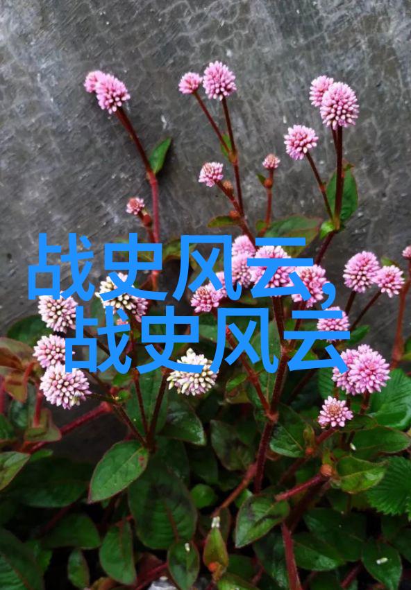 图1: 制定计划