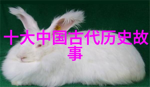 五千年野史尘封的传奇与历史的长河