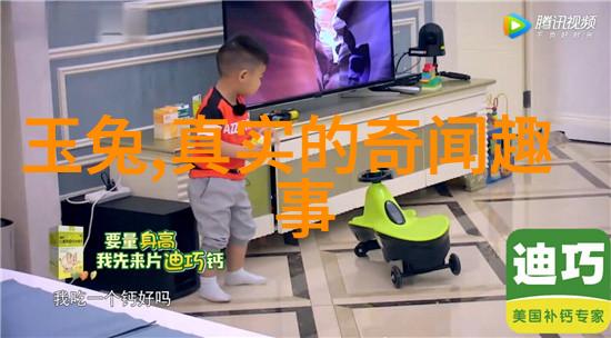 神话故事中的文化象征与社会功能探究