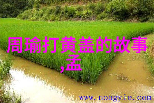 现代改编的小学生神话故事有哪些创新之处