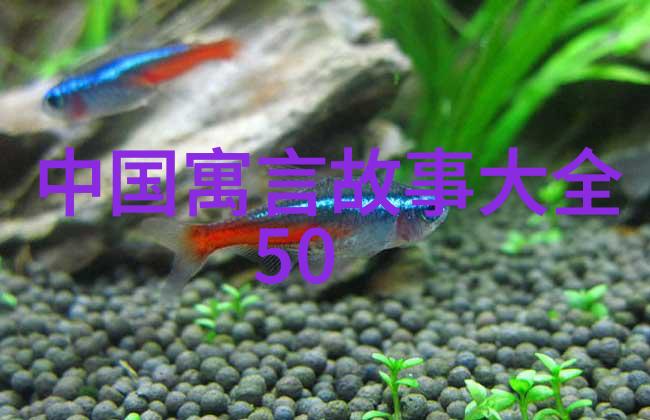 探秘-揭秘世界未解之谜视频素材中的奥秘