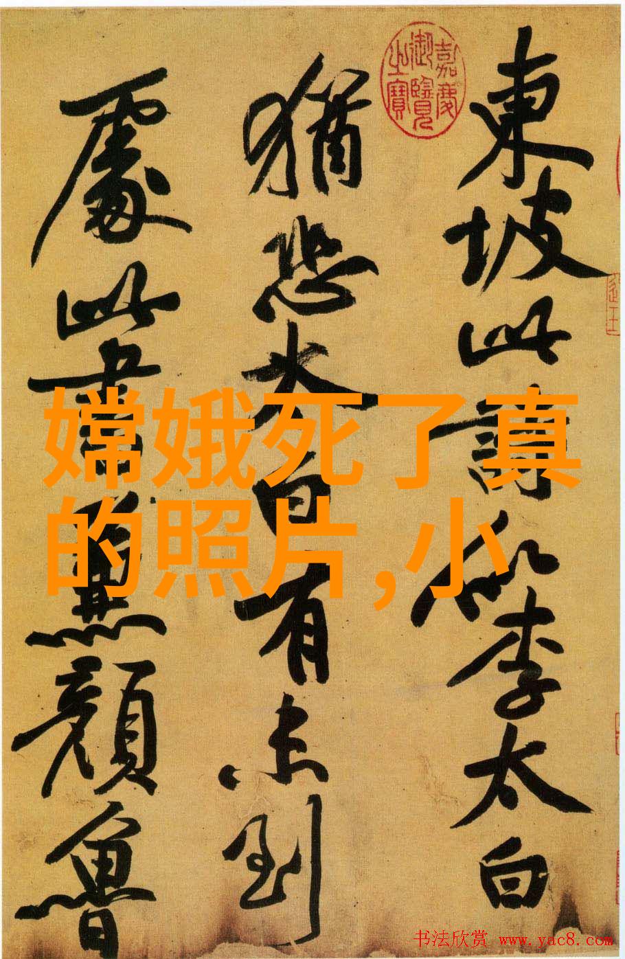 厨房激战美国版