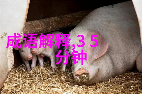 中国历史时间轴高清图穿越时光的纵卷史书