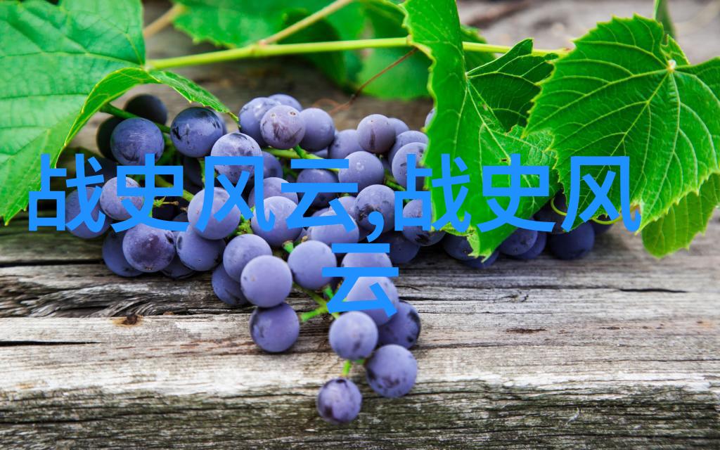 彩虹桥下的梦想国度