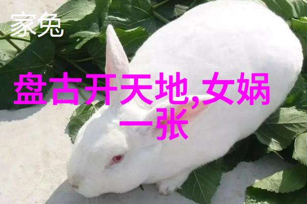 红楼梦中的历史影子曹雪芹与清代社会