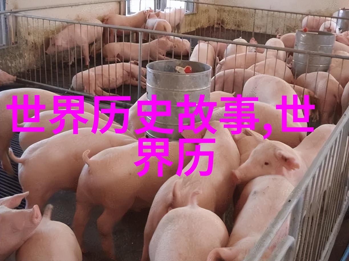 专门看历史的app我这不就用个时空机器翻了个古代的盛世吗