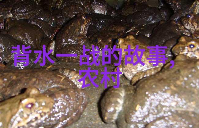 中国神话故事精典龙凤凰白虎