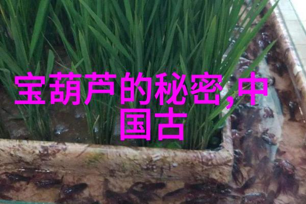 探索中华五千年历史的辉煌篇章