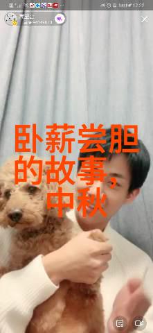 时光里的英雄们四年级学生的历史人物故事探索