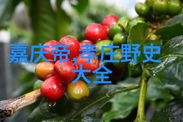 上下五千年的故事从黄河之滨到长城脚下我的历史探索