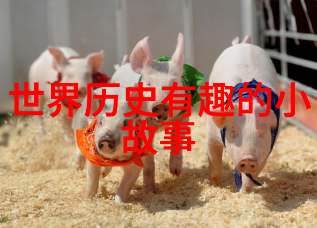 孙权的江山梦从赤壁之战到吴国鼎立权力的重量与挑战