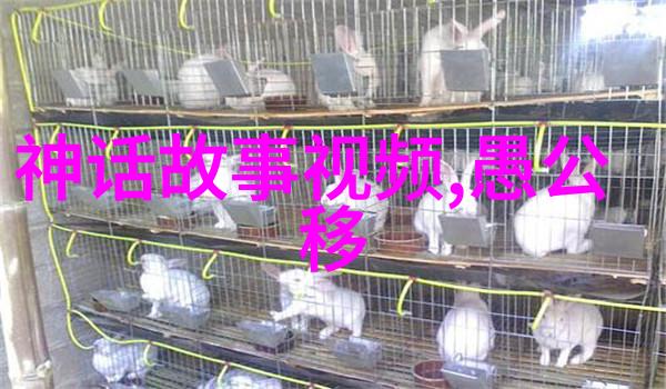 血雨腥风与花开时节二战的反差人生