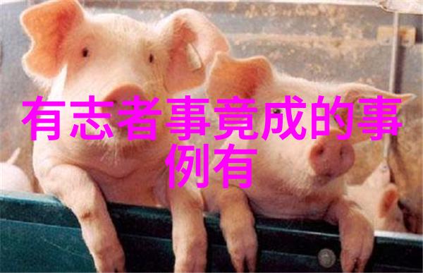 中国禁闻隐匿在网络的真相探索