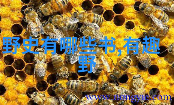 上古神话故事120篇诺亚方舟的社会传奇