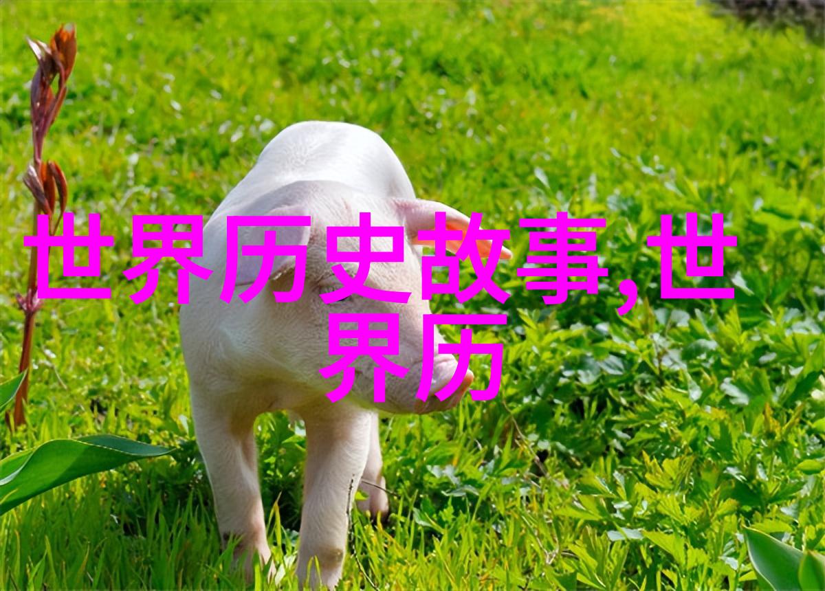 从轶事到传奇野史趣闻中的历史真相