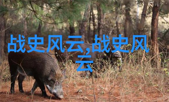名人秘闻录影帝的隐世之恋与一夜成名的传奇