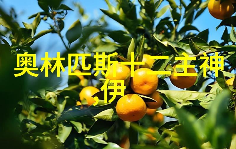 千古江山公孙衍的风云变幻