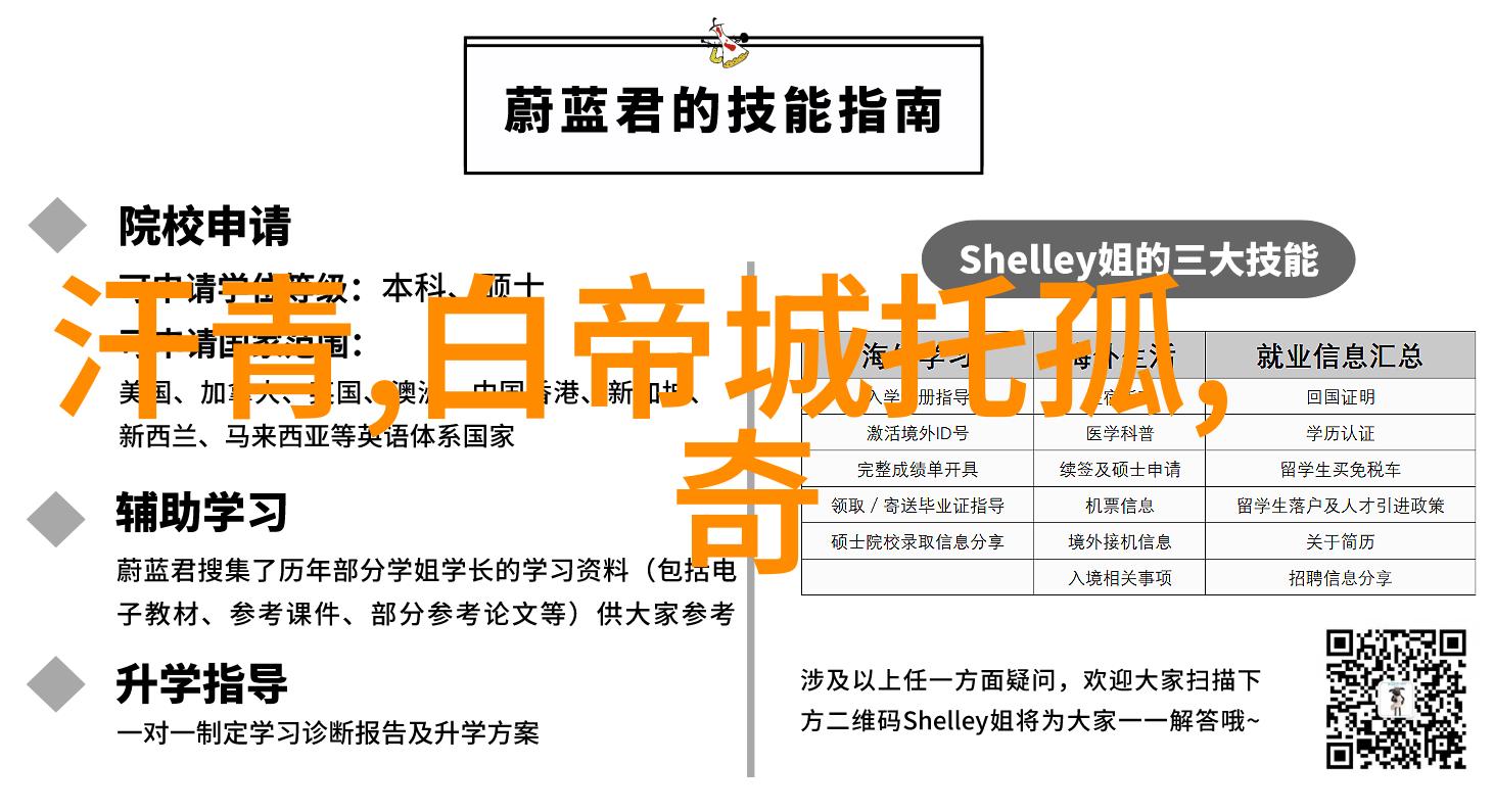 翁虹影视界的璀璨星光