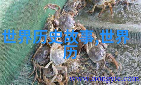 天界之门十个未解的中国神话谜题