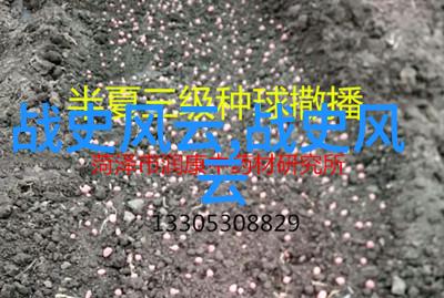 千年帝国的崩裂罗马帝国的衰落