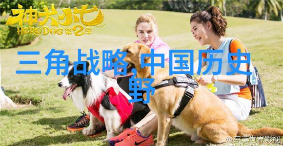 明朝那些事儿你知道吗满族的历史其实也充满了精彩