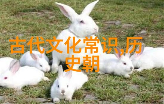 全国一级书法家数量藏于古籍之中