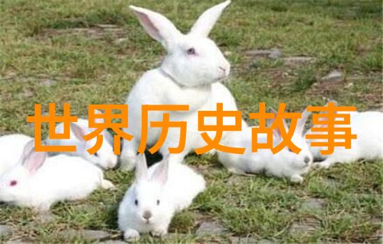 点破五个字成语的精髓