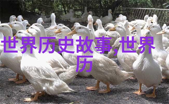 在教育领域1925年的改革措施是什么以及它们带来了什么改变