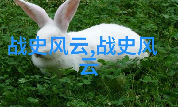 风流校花我见过的校花她不仅美丽更是 campus queen