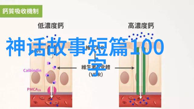 明朝灭亡后清朝入主中原清朝的兴起与明末动荡