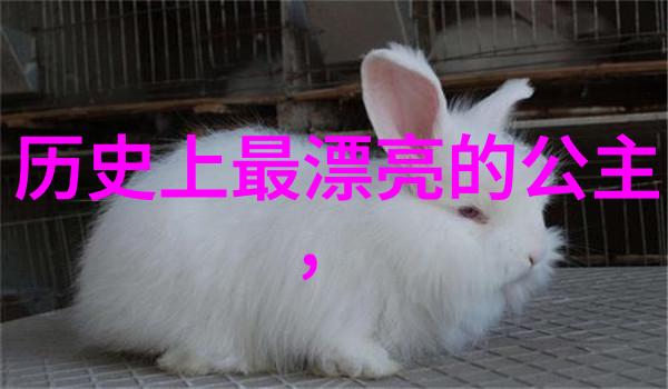 揭秘中国历史王朝轮回的辉煌与沉浮