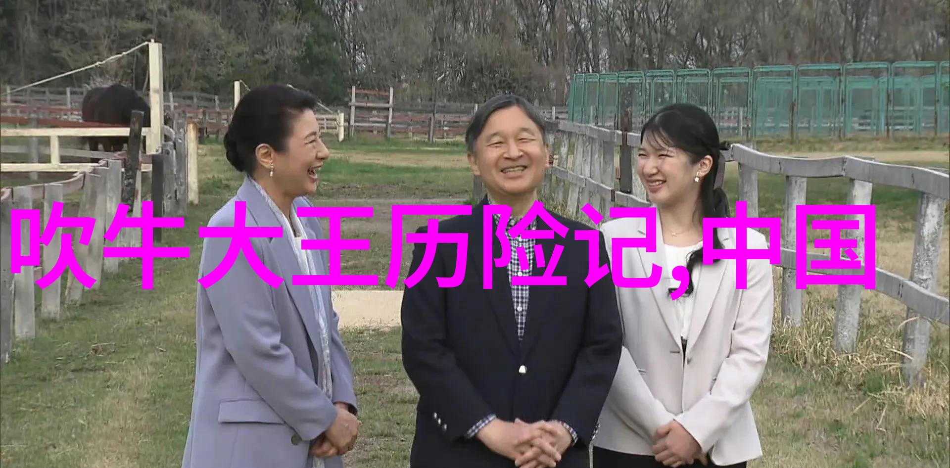 朝廷繁华与心境遥望
