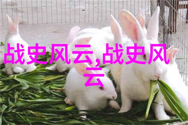河南豫剧票友董卓凡在南京全场热映