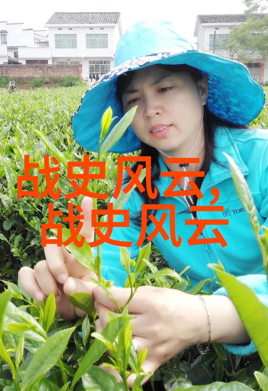 中国历史手抄报简单又漂亮 - 精彩纷呈的时空之旅