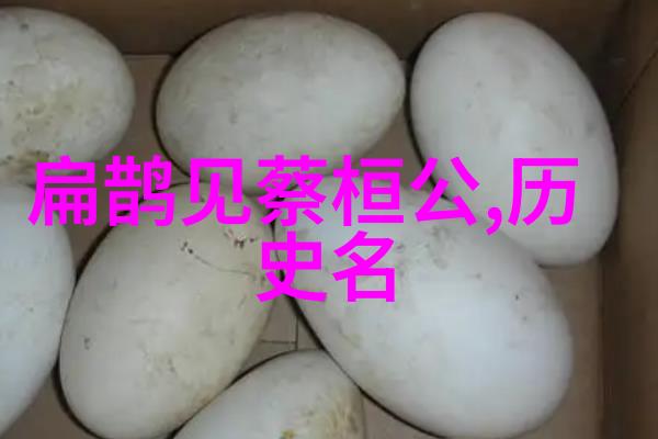 长城背后的守望者探索古代中国边疆生活