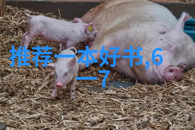 中国历史英雄人物传记诸葛亮岳飞与红船上的范仲淹