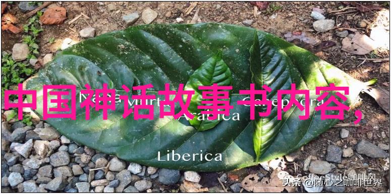 中国民间故事王子尼达次仁的励志征程在社会风云中绘就
