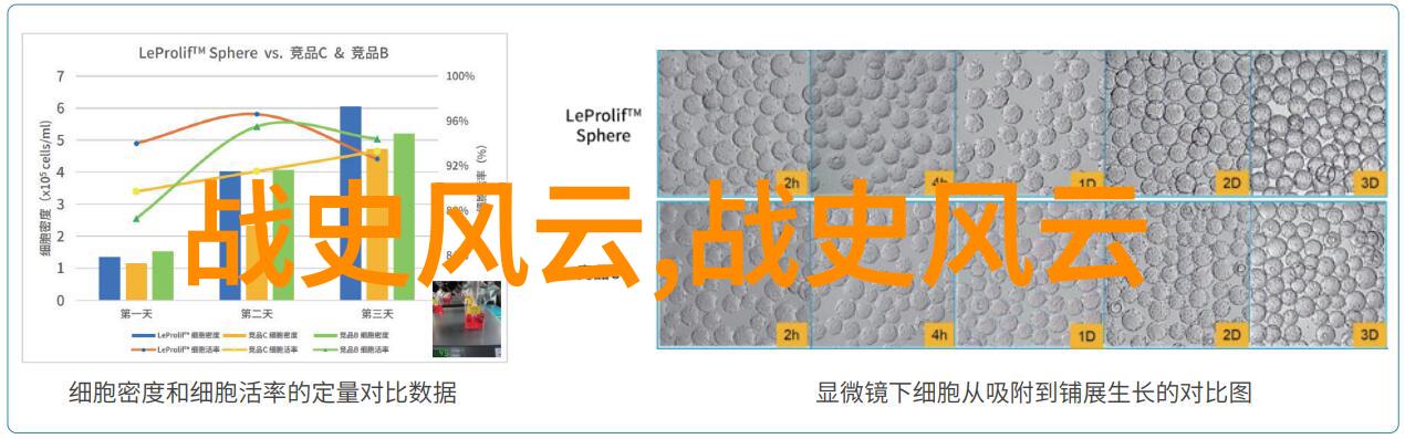 北魏传奇中的珍贵物品韩鹏尧的遗失佩剑