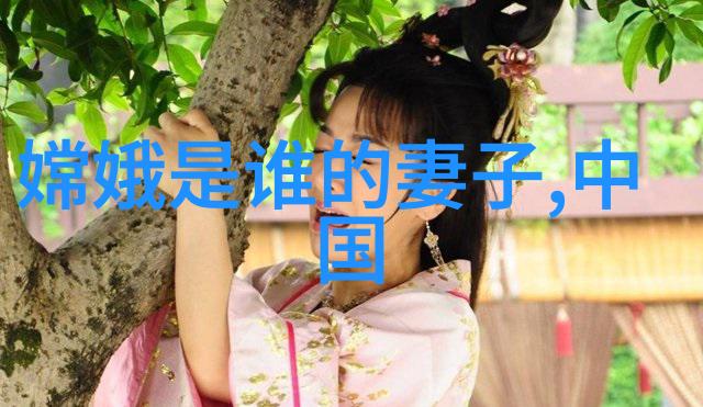 豫剧奇缘贾燕妮的全场戏之旅