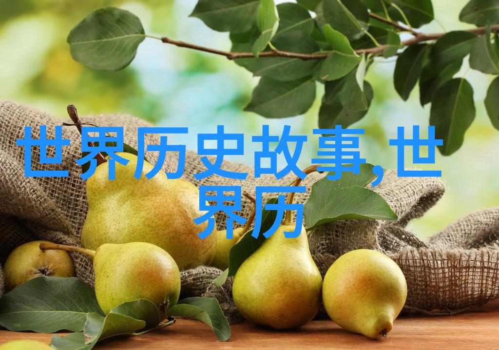 清朝宫廷生活揭秘康熙帝与皇宫里的宴会
