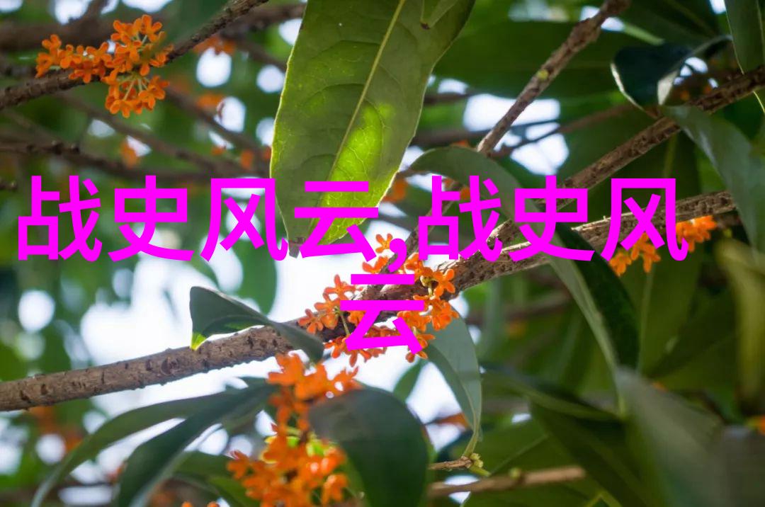 空中剧院朱青的京剧之舞像猎虎如划江山